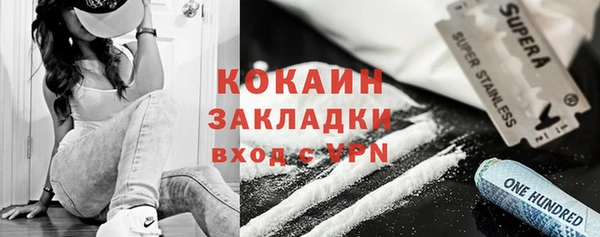 индика Кинешма