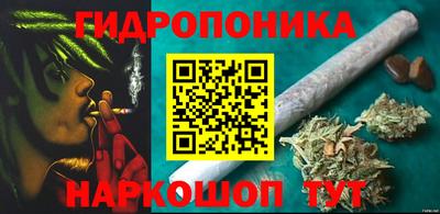 индика Лесосибирск