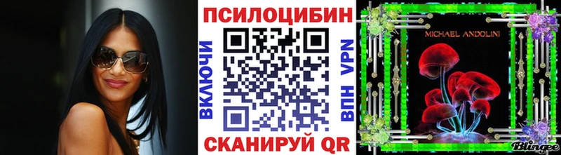Псилоцибиновые грибы Cubensis  Коркино 