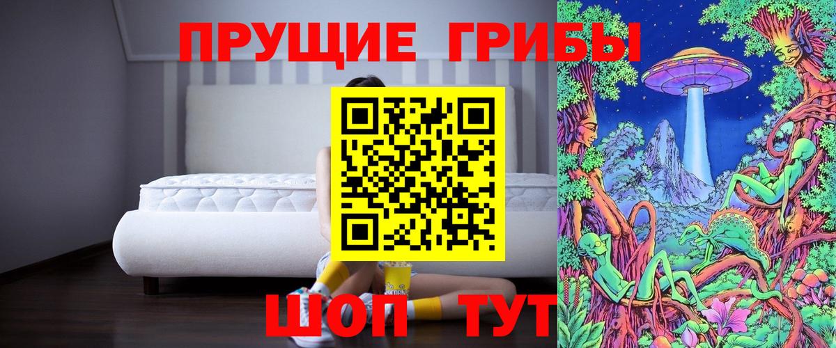 наркота  Псилоцибиновые грибы мицелий  Вход с VPN  Коркино 