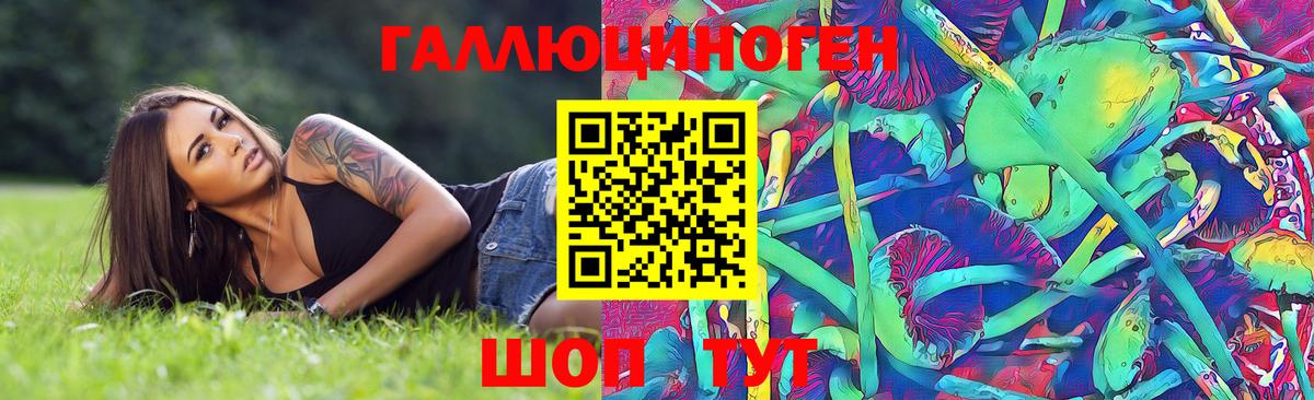 Псилоцибиновые грибы GOLDEN TEACHER Коркино